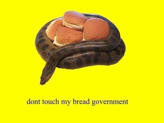 dont touch my bread government.jpg