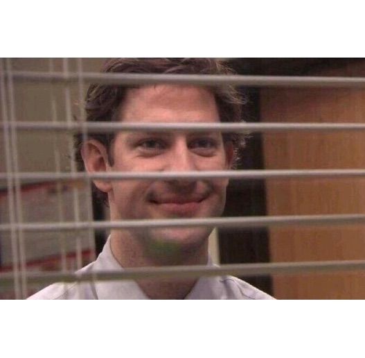 jimblinds.jpg